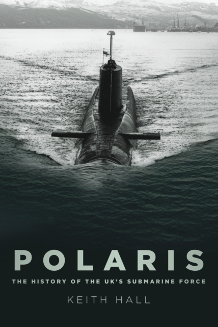 Book Cover for Polaris by Keith Hall