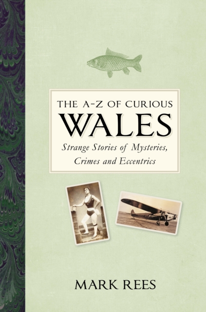 Book Cover for A-Z of Curious Wales by Mark Rees