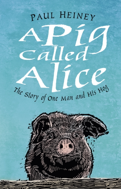 Book Cover for Pig Called Alice by Paul Heiney