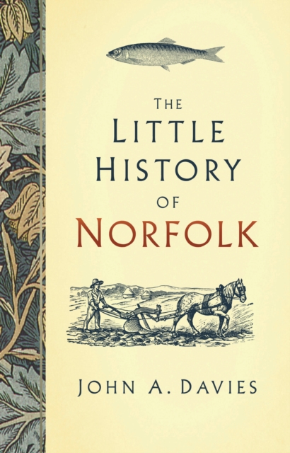 Book Cover for Little History of Norfolk by John A. Davies