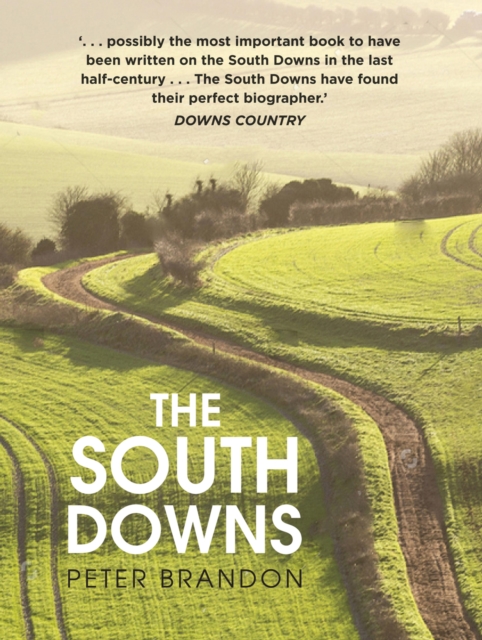Book Cover for South Downs by Peter Brandon
