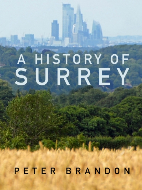 Book Cover for History of Surrey by Peter Brandon