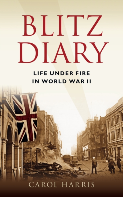 Book Cover for Blitz Diary by Brown, Mike