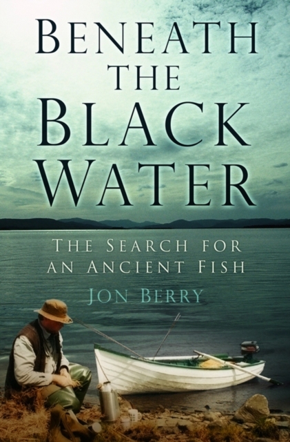 Book Cover for Beneath the Black Water by Jon Berry