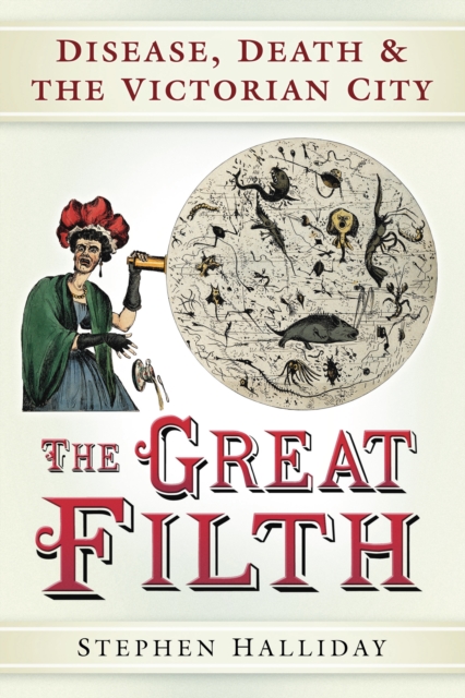 Book Cover for Great Filth by Stephen Halliday