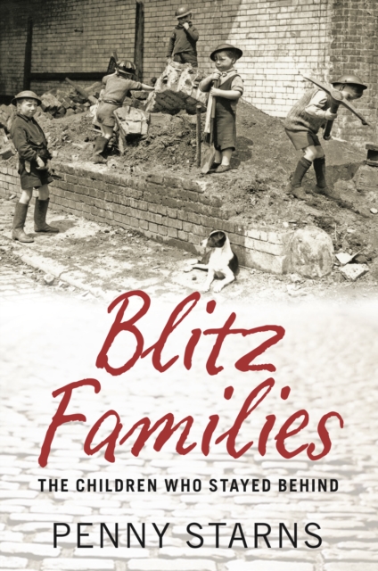 Book Cover for Blitz Families by Penny Starns