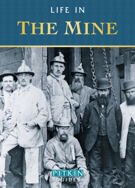 Book Cover for Life in the Mine by Burton, Anthony