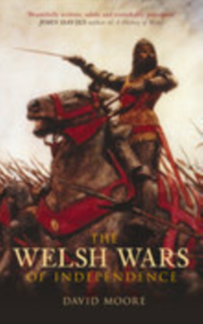 Book Cover for Welsh Wars of Independence by David Moore