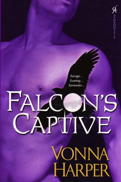 Book Cover for Falcon's Captive by Vonna Harper