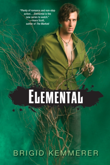 Book Cover for Elemental by Brigid Kemmerer