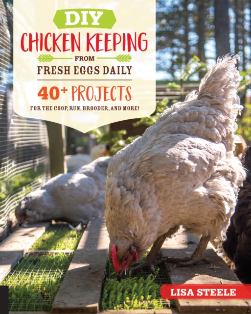 Book Cover for DIY Chicken Keeping from Fresh Eggs Daily by Steele, Lisa