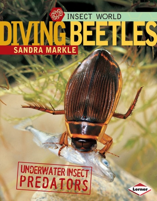 Book Cover for Diving Beetles by Sandra Markle