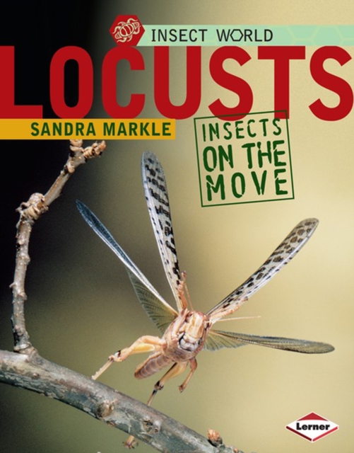 Book Cover for Locusts by Sandra Markle