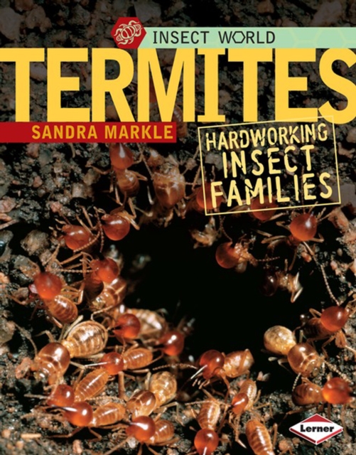 Book Cover for Termites by Sandra Markle