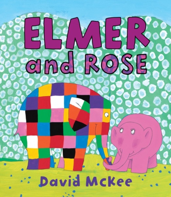 Book Cover for Elmer and Rose by David McKee