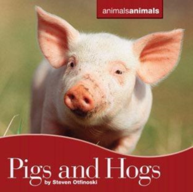 Book Cover for Pigs and Hogs by Steven Otfinoski