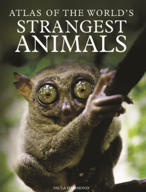 Book Cover for Atlas of the World's Strangest Animals by Hammond, Paula