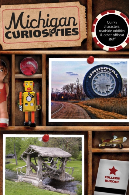 Book Cover for Michigan Curiosities by Colleen Burcar