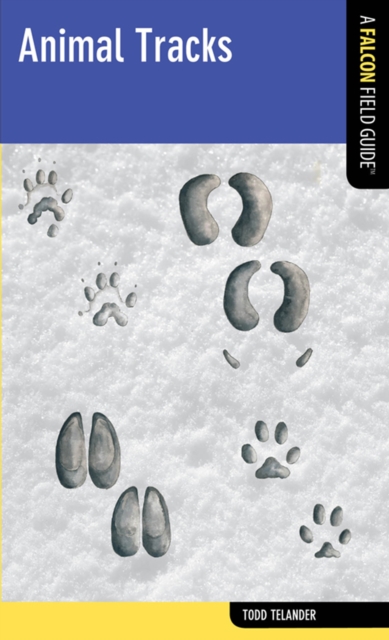 Book Cover for Animal Tracks by Todd Telander