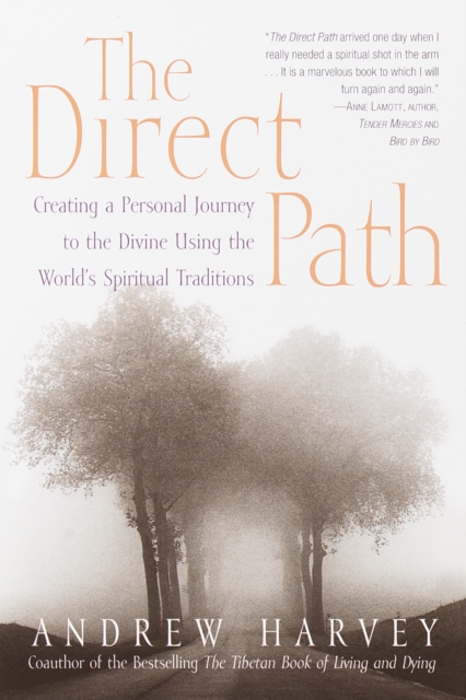 Book Cover for Direct Path by Andrew Harvey
