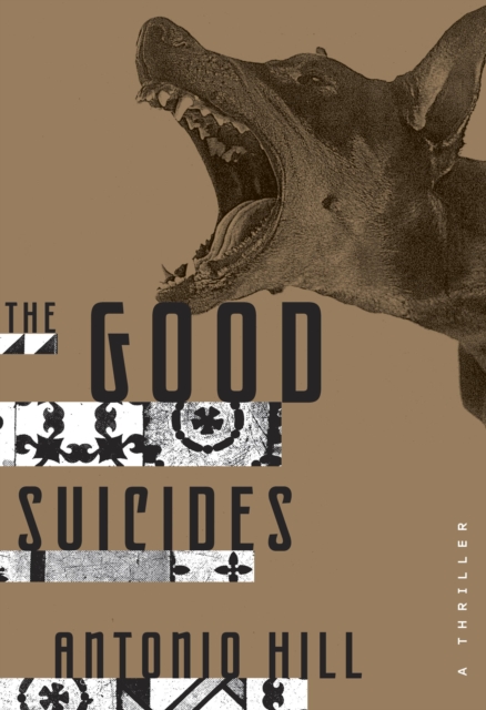 Book Cover for Good Suicides by Antonio Hill