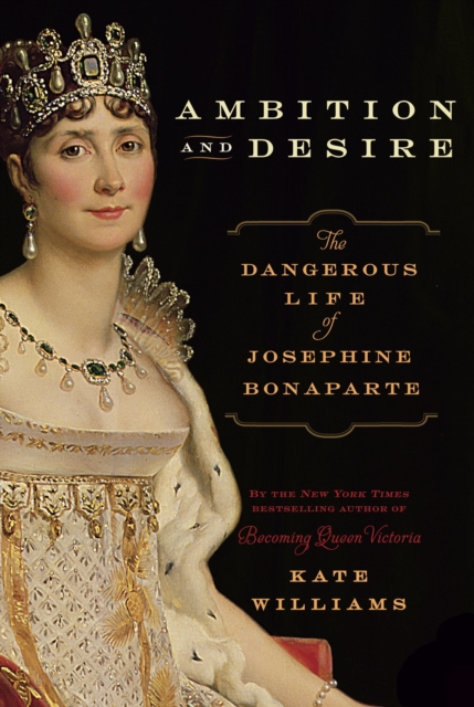 Book Cover for Ambition and Desire by Kate Williams