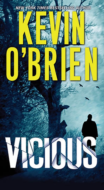 Book Cover for Vicious by Kevin O'Brien