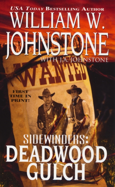 Book Cover for Deadwood Gulch by William W. Johnstone, J.A. Johnstone