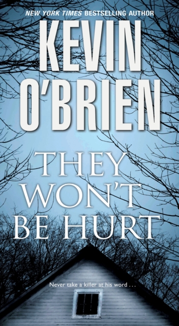 Book Cover for They Won't Be Hurt by Kevin O'Brien