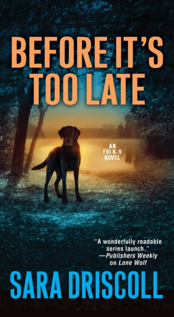 Book Cover for Before It's Too Late by Sara Driscoll