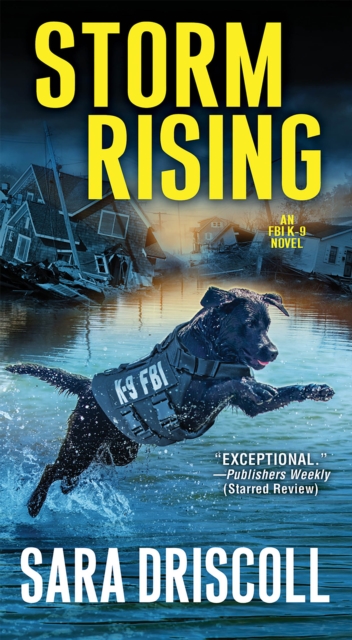 Book Cover for Storm Rising by Sara Driscoll