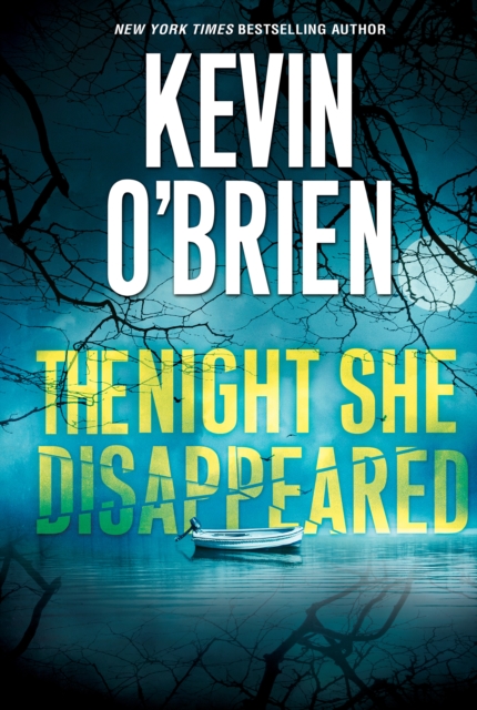 Book Cover for Night She Disappeared by Kevin O'Brien