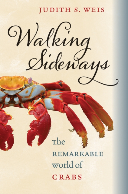 Book Cover for Walking Sideways by Judith S. Weis