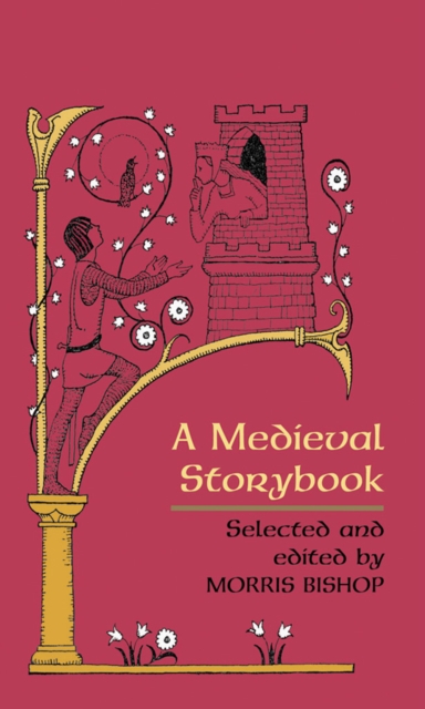 Book Cover for Medieval Storybook by 