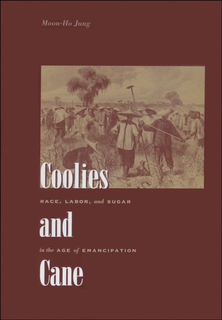 Book Cover for Coolies and Cane by Moon-Ho Jung