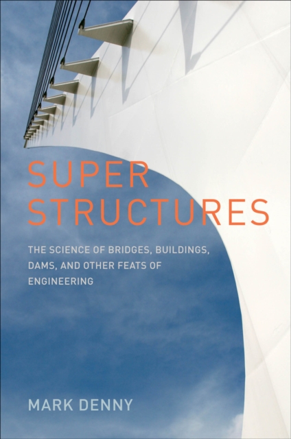 Book Cover for Super Structures by Mark Denny