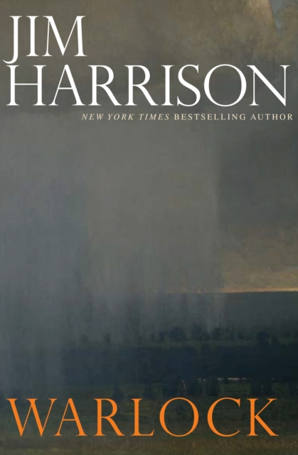 Book Cover for Warlock by Jim Harrison