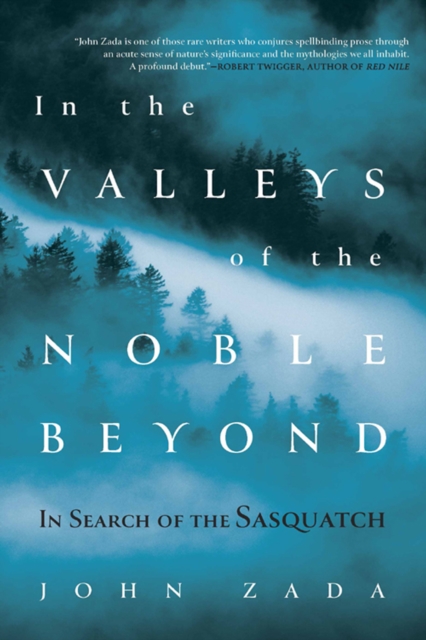 Book Cover for In the Valleys of the Noble Beyond by John Zada