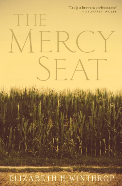 Book Cover for Mercy Seat by Elizabeth H. Winthrop