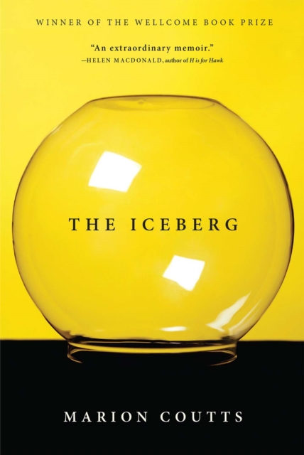 Book Cover for Iceberg by Marion Coutts