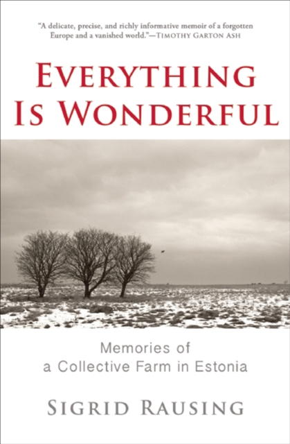 Book Cover for Everything Is Wonderful by Sigrid Rausing