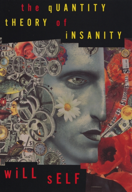 Book Cover for Quantity Theory of Insanity by Will Self