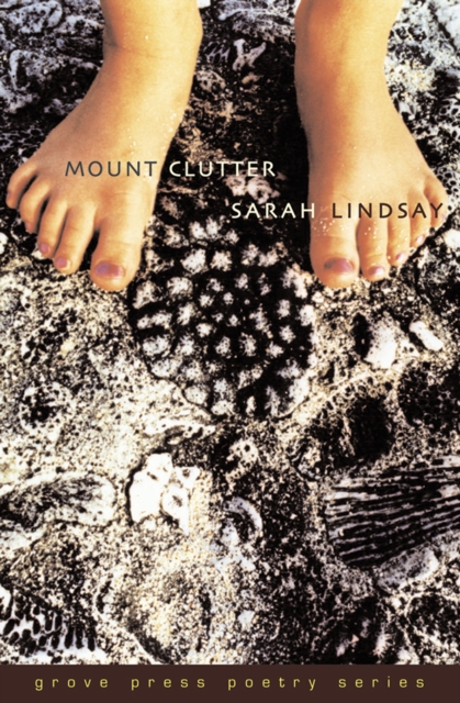 Book Cover for Mount Clutter by Sarah Lindsay