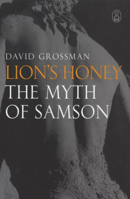 Book Cover for Lion's Honey by David Grossman