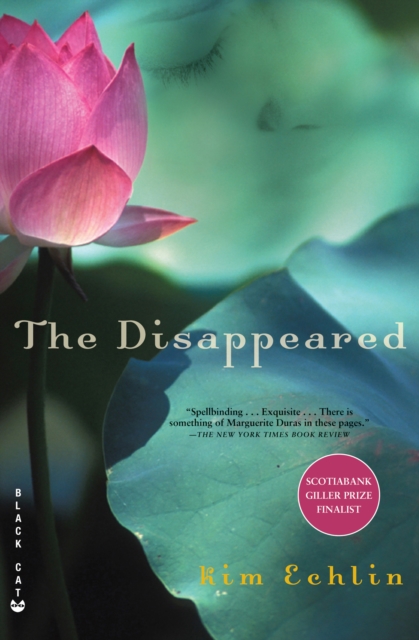 Book Cover for Disappeared by Kim Echlin