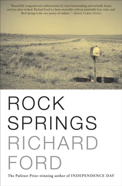 Book Cover for Rock Springs by Richard Ford