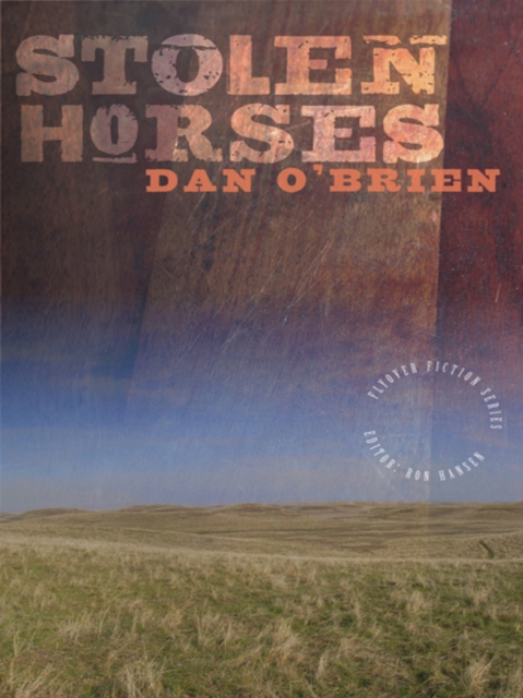 Book Cover for Stolen Horses by Dan O'Brien