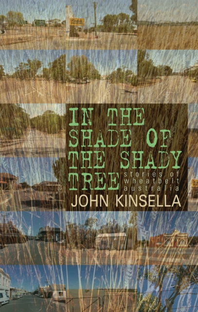 Book Cover for In the Shade of the Shady Tree by John Kinsella