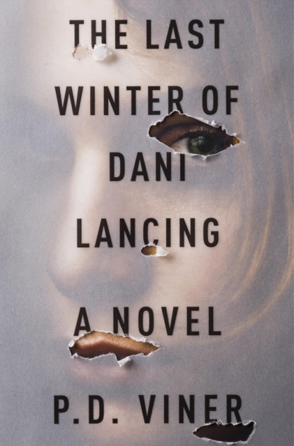 Book Cover for Last Winter of Dani Lancing by P. D. Viner