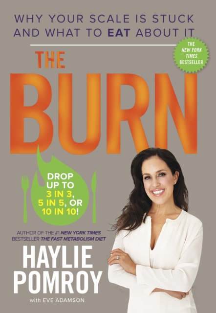 Book Cover for Burn by Haylie Pomroy